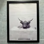 Banksy Urban *