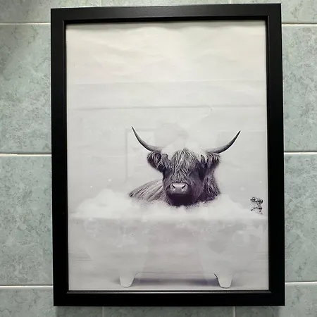 Banksy Urban *